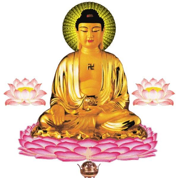 🐉佛爷💯天龙🐲