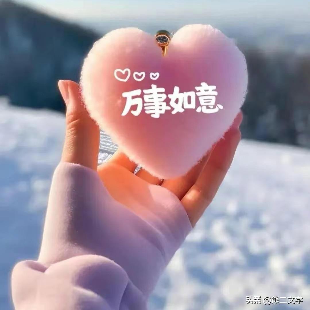 月光下的小白