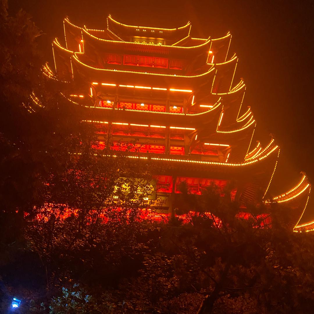 陈丹