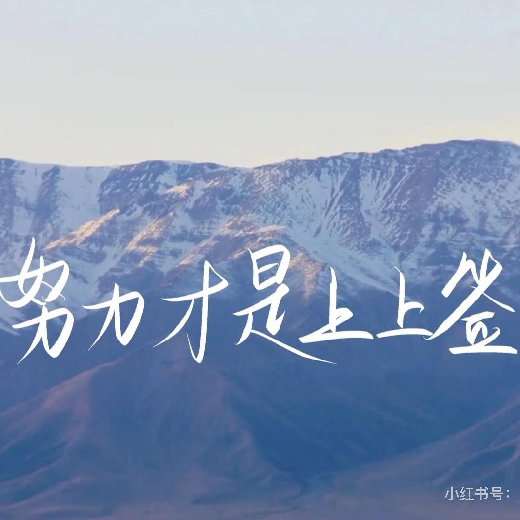 折叠暴龙