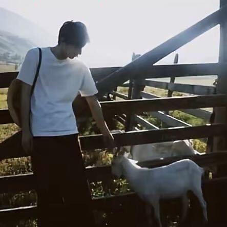 我睡觉的时候不困