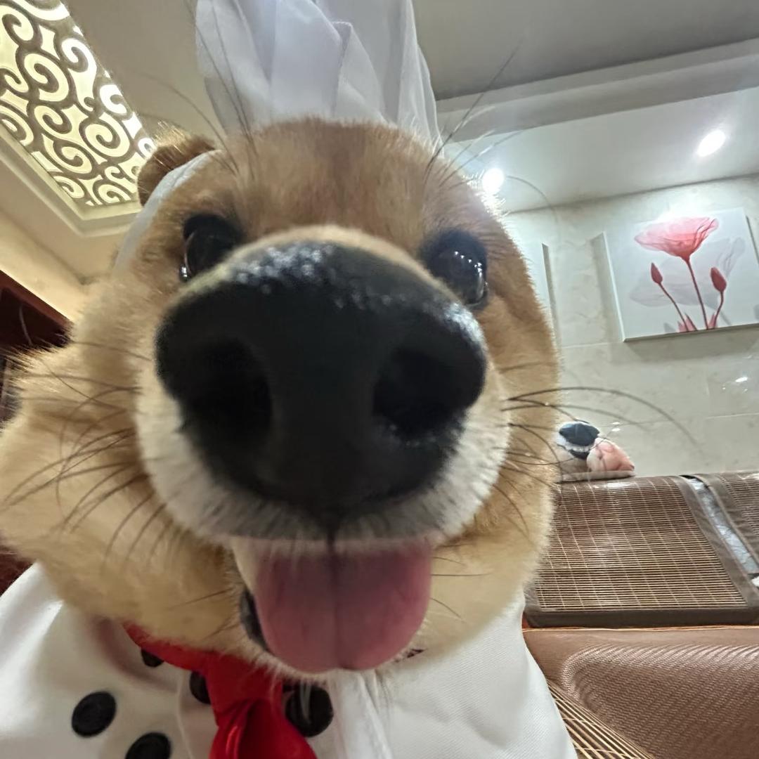 吃什么