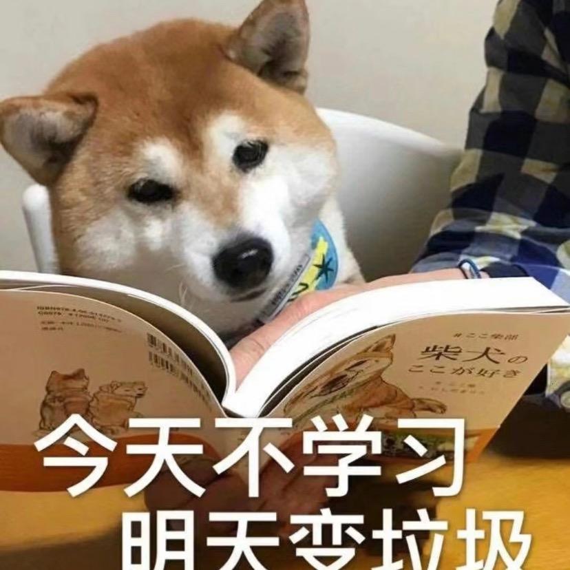 顶峰相见
