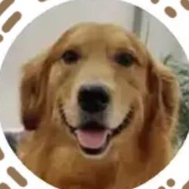 哈大爷