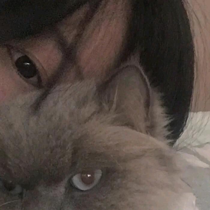 没烦恼