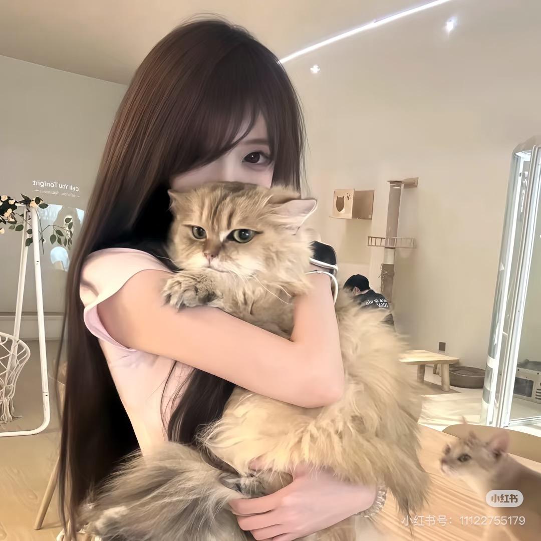 兜兜⚡️(永久在线版)