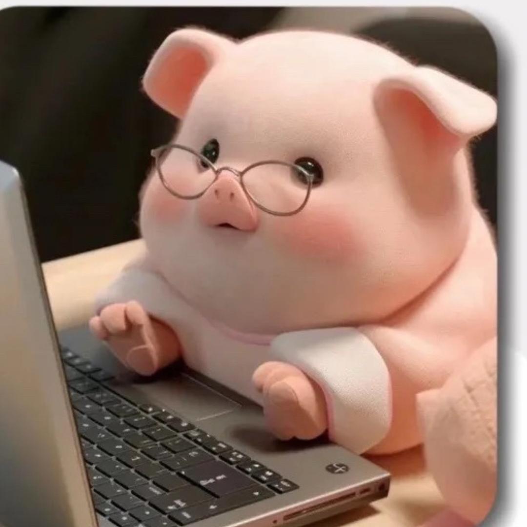 丢了幸福的猪🐷