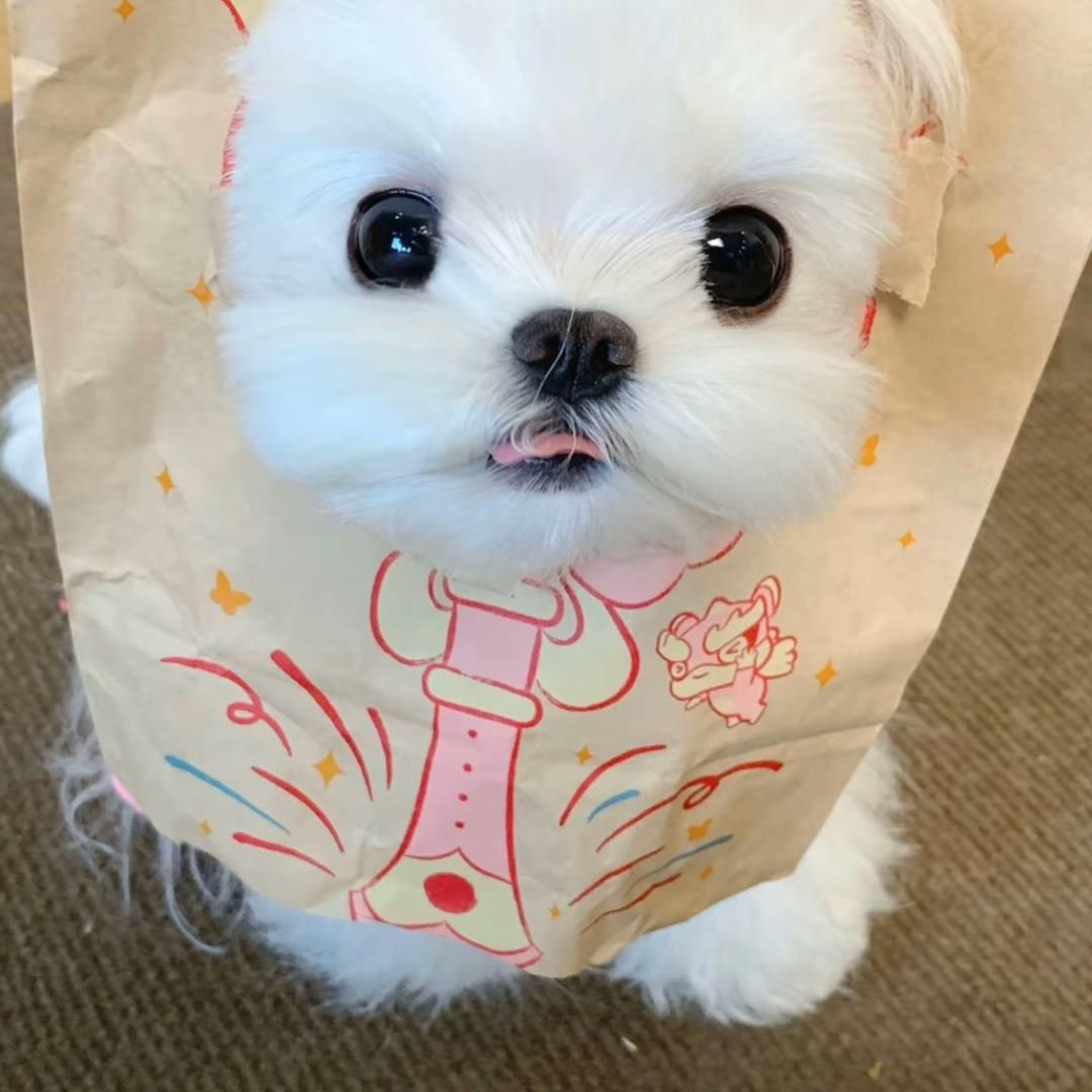 小瑶睡着了