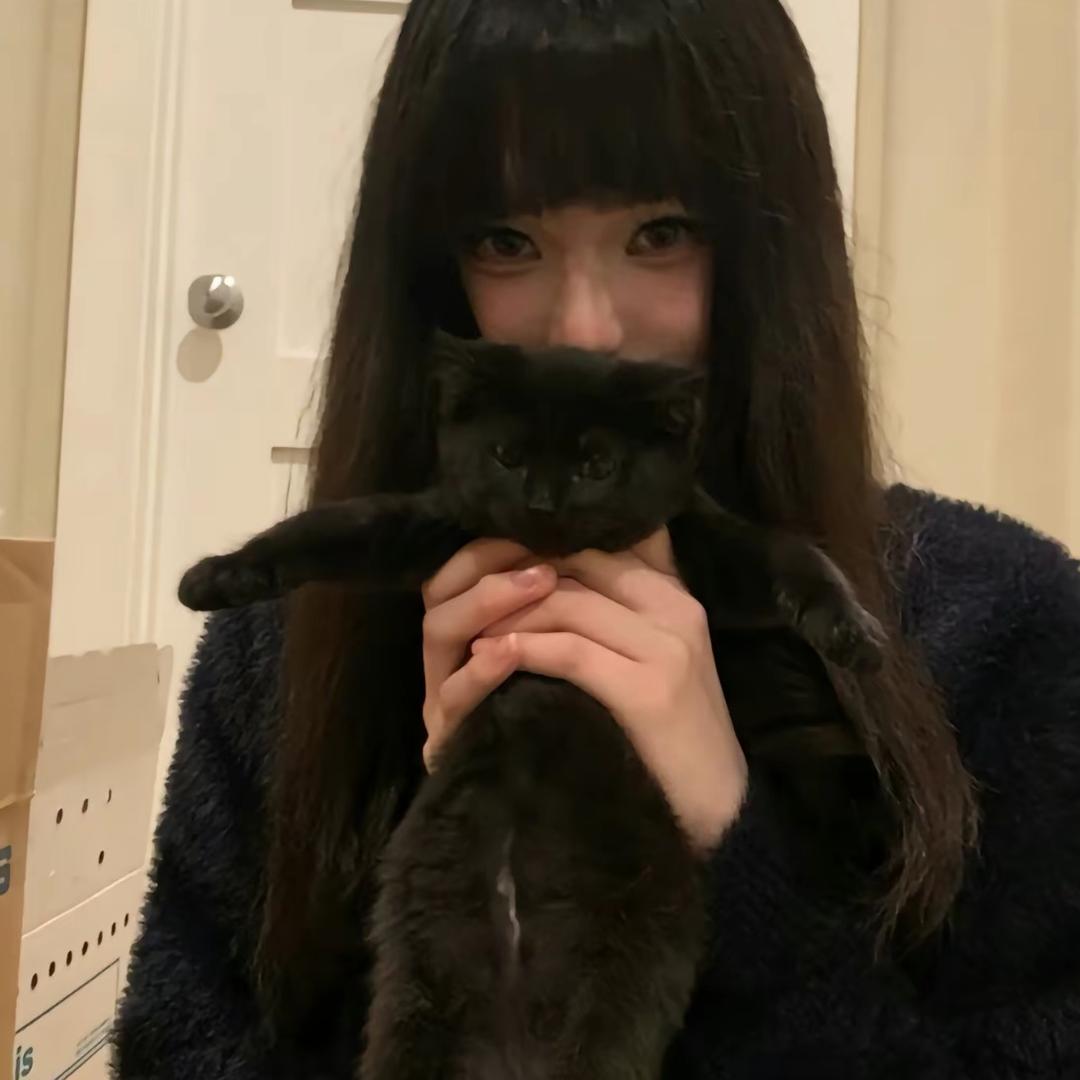 11y