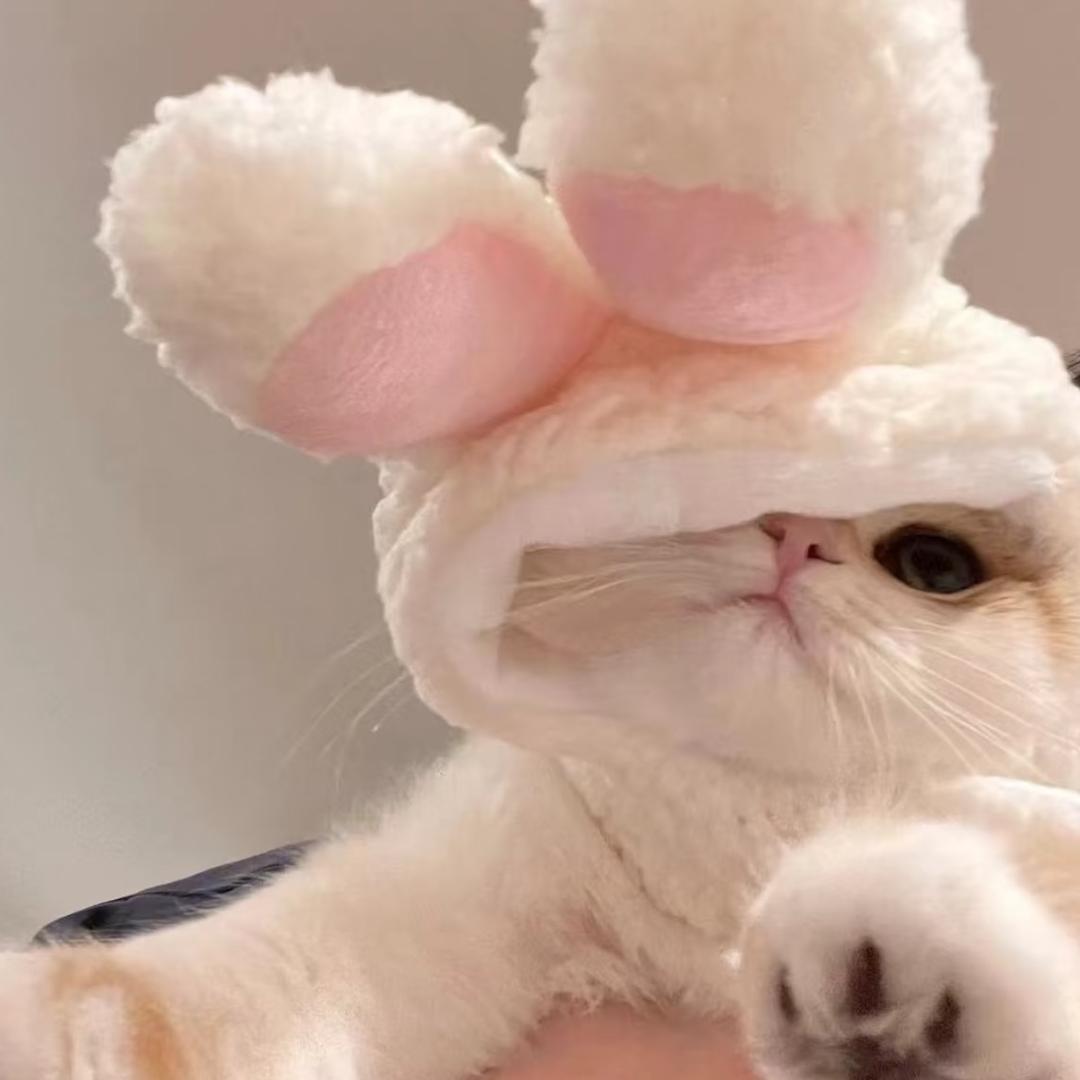 汤汤🧸