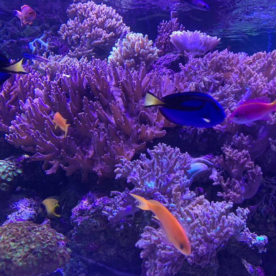 宜春博新产后恢复