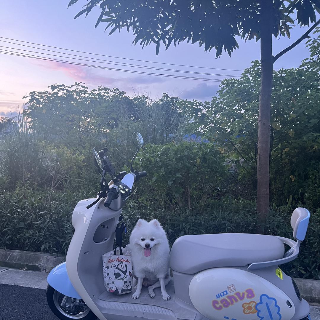 张小覃益趣玩具
