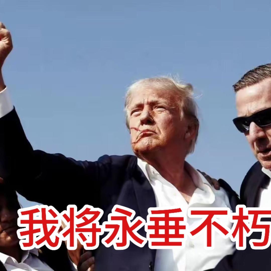 睡醒炒股