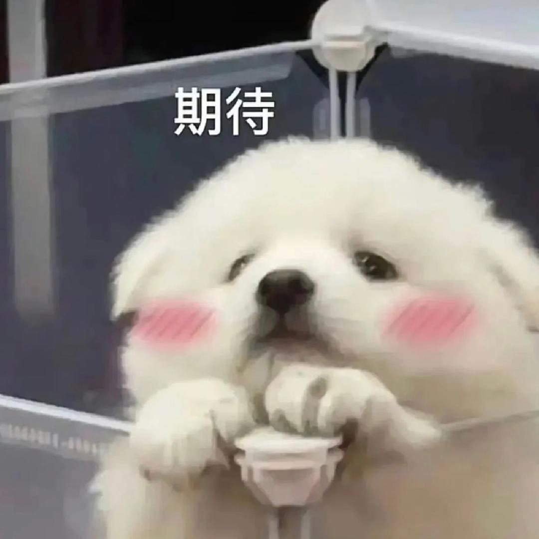 安庆晓晓信息服务