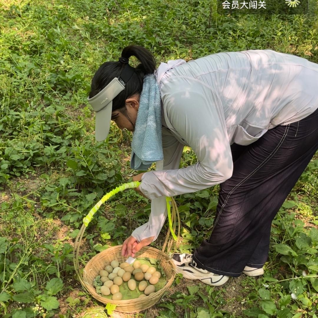 胖金金