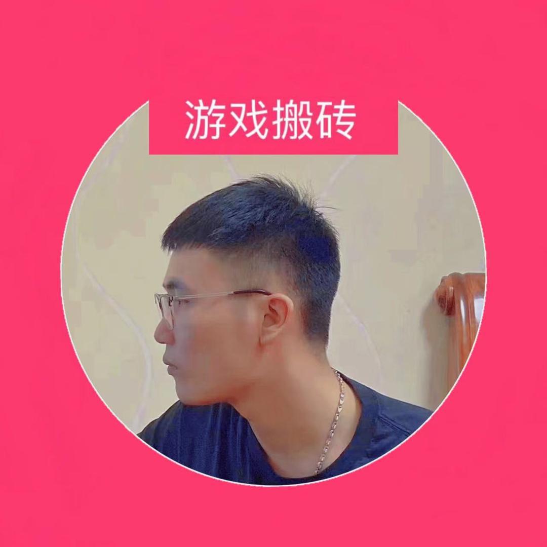 豪哥游戏搬砖