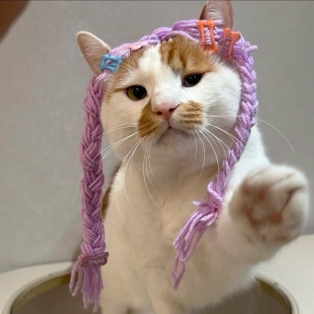 今天8碗饭 ˗ˋˏ🧁ˎˊ˗