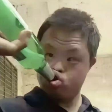 铁郭炖大鹅.