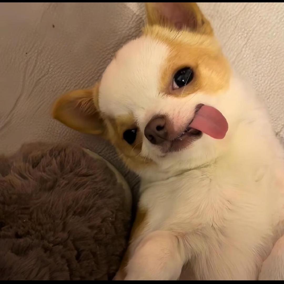 嗯好