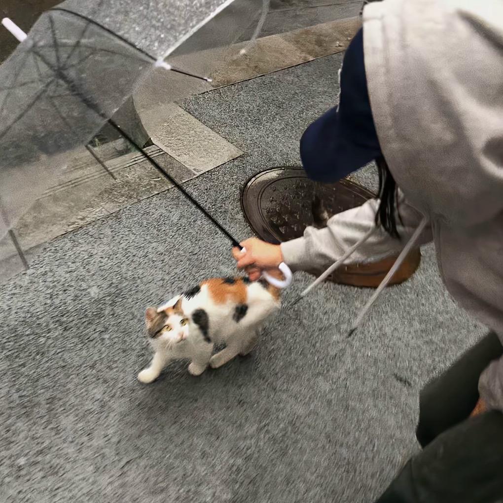 oi✌️