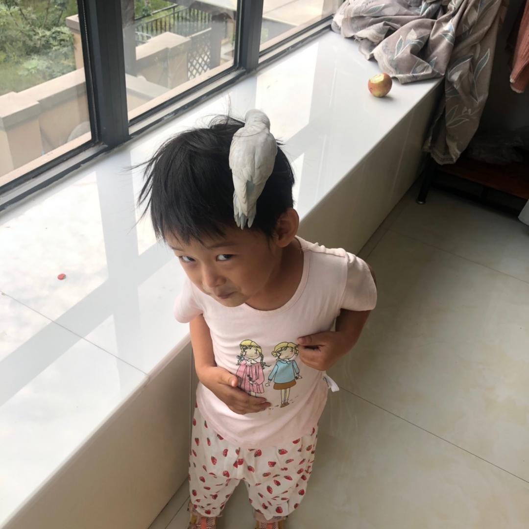 淼淼
