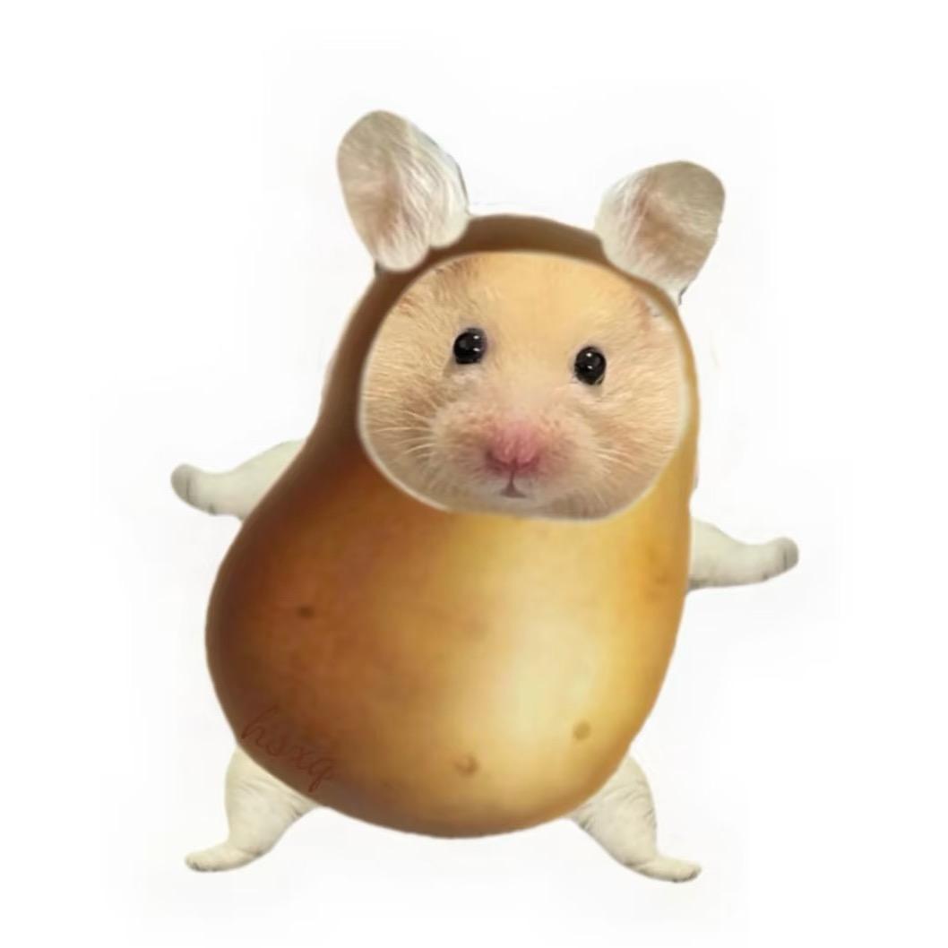 郑颜初