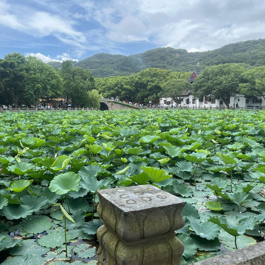 幸运之星✨