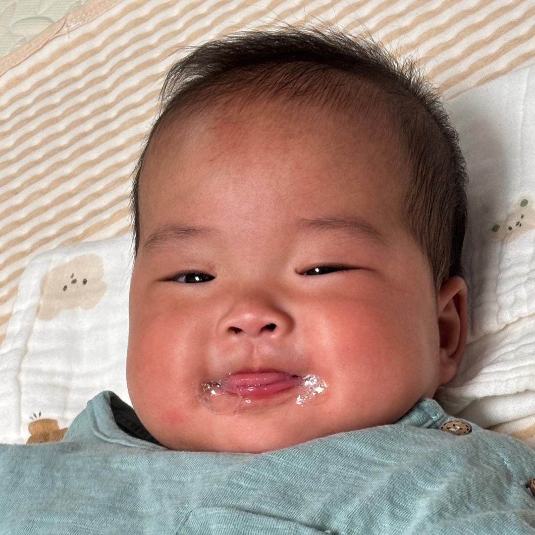 大肥肉迷路了