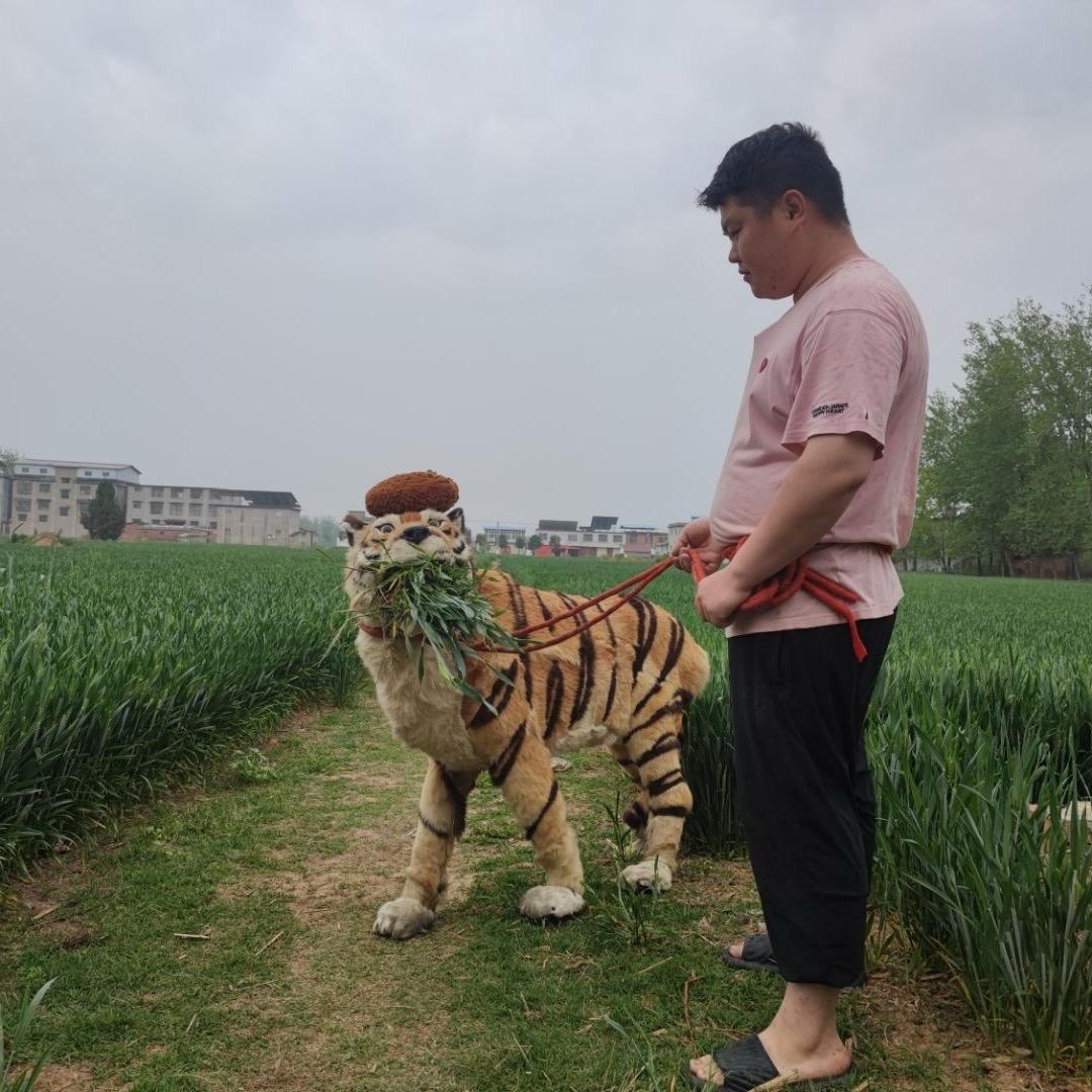 胖孩儿蒸饺包子