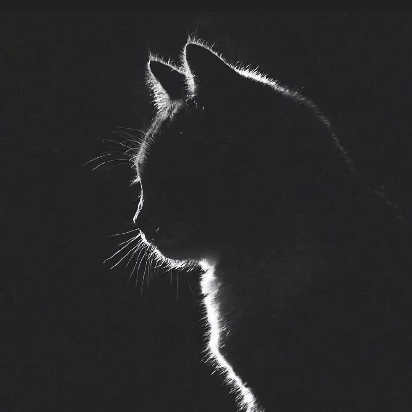 💞黑ᰔᩚ色༊࿐