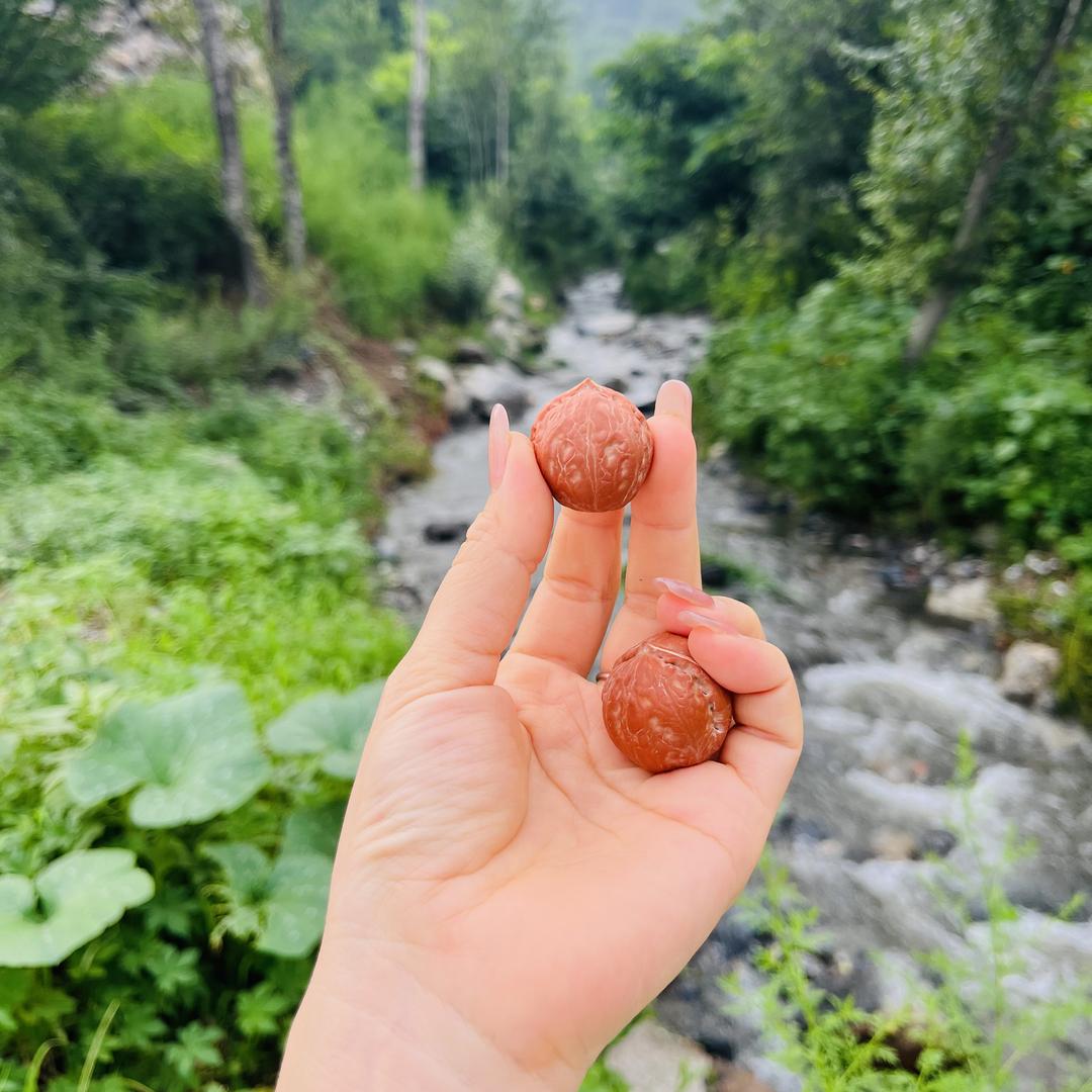 杨老六核生财
