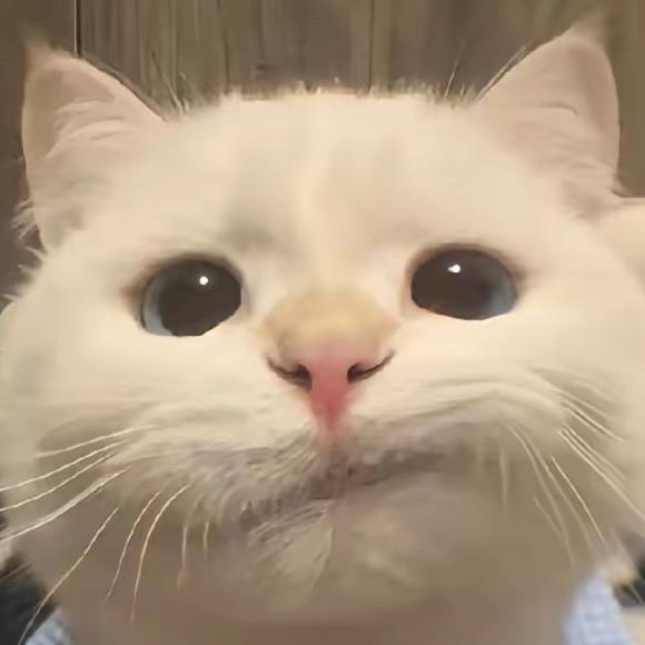 我是入鸡