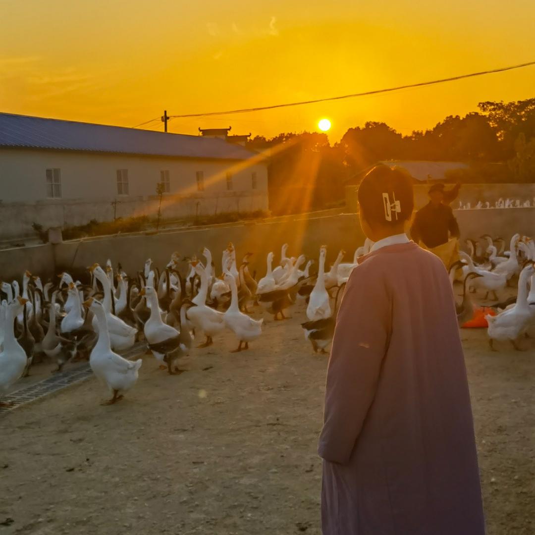 小岳儿【甄选】