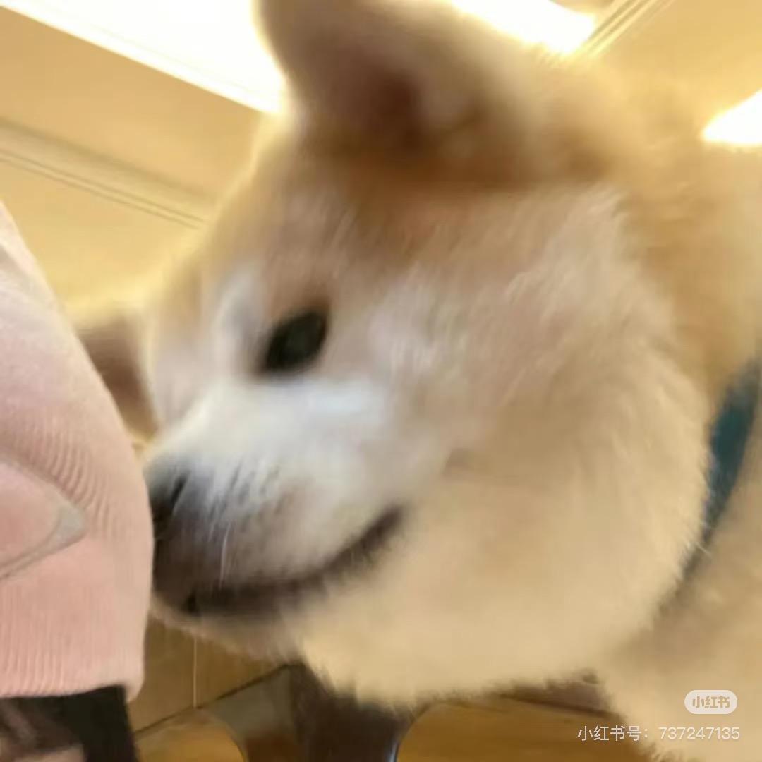 梦阳