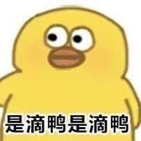 嘻嘻嘻嘻