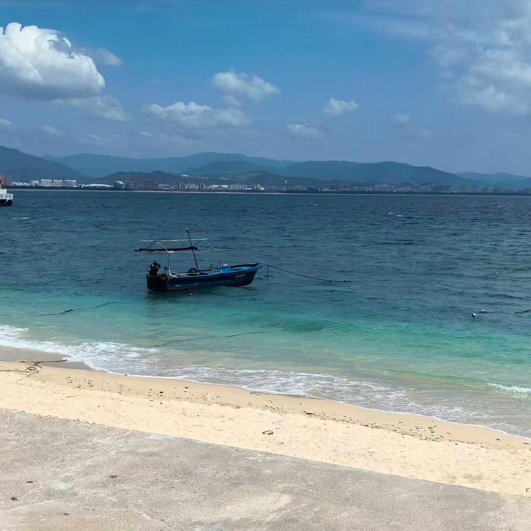 手有玫瑰送不出