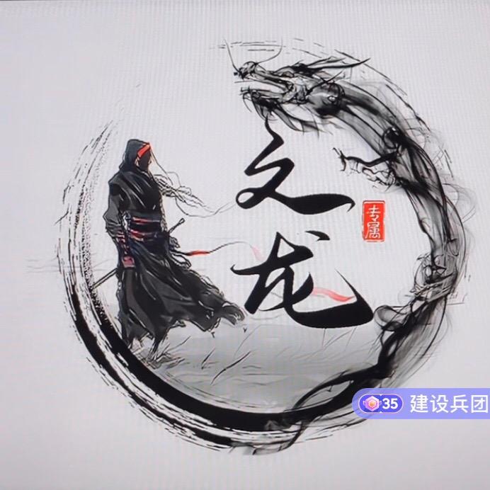文龙影视