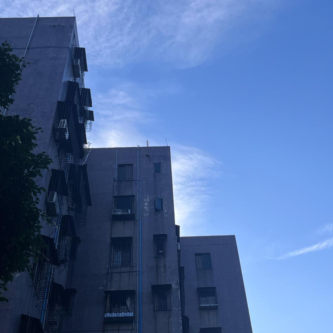 天天快乐读博