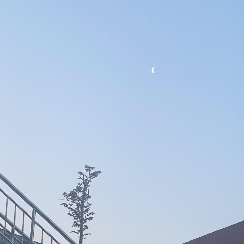 小杨自装