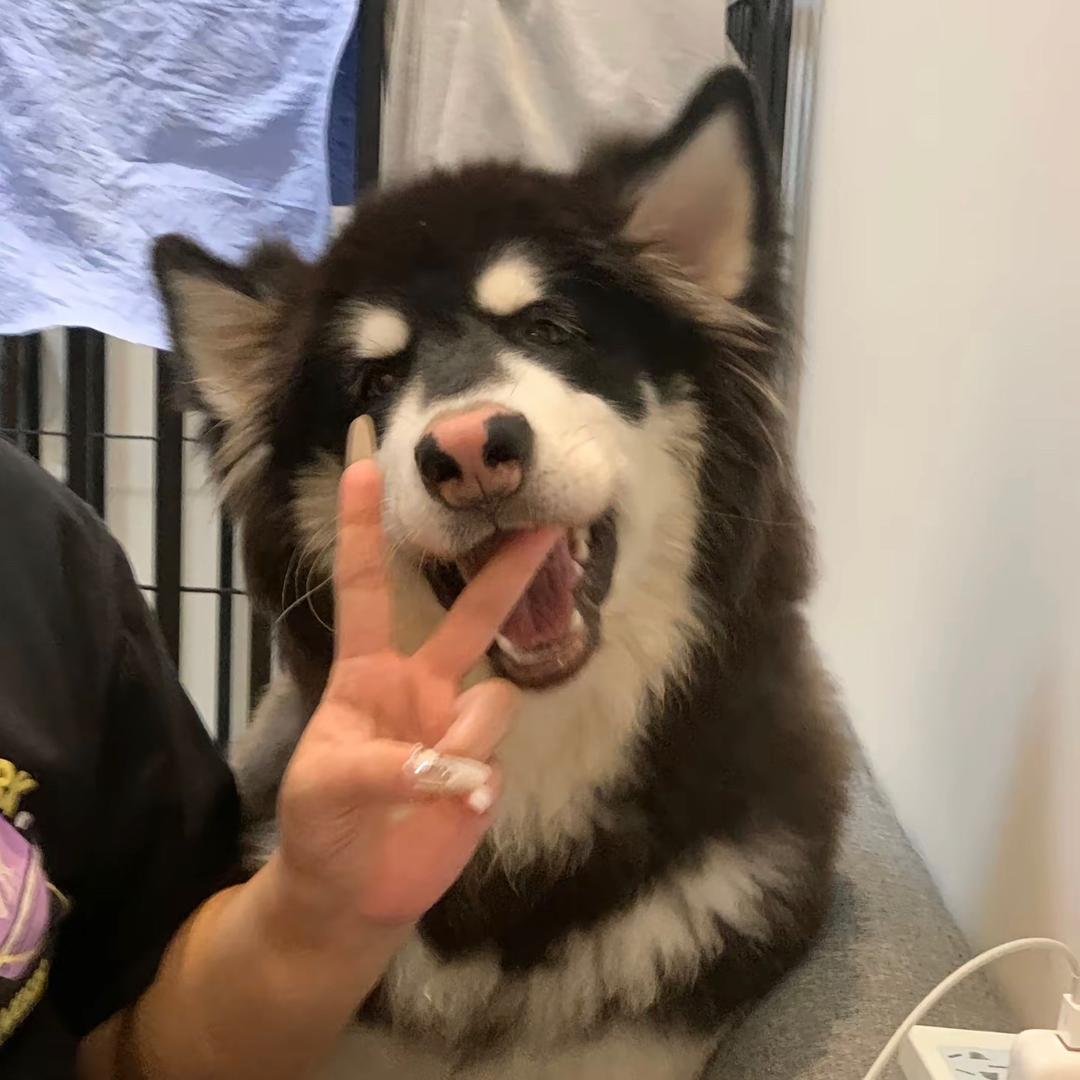 赵真真