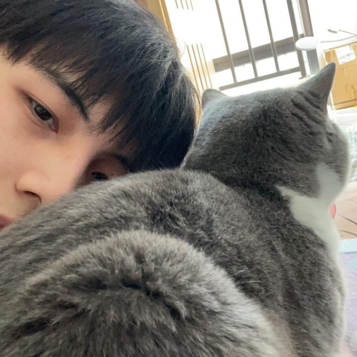 李小娃