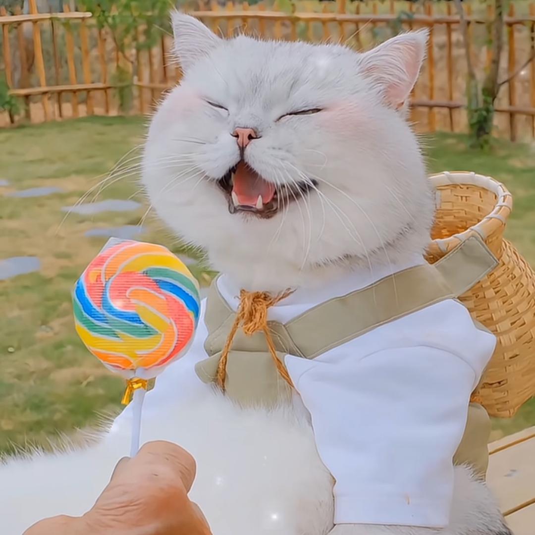 欣瑶🍮