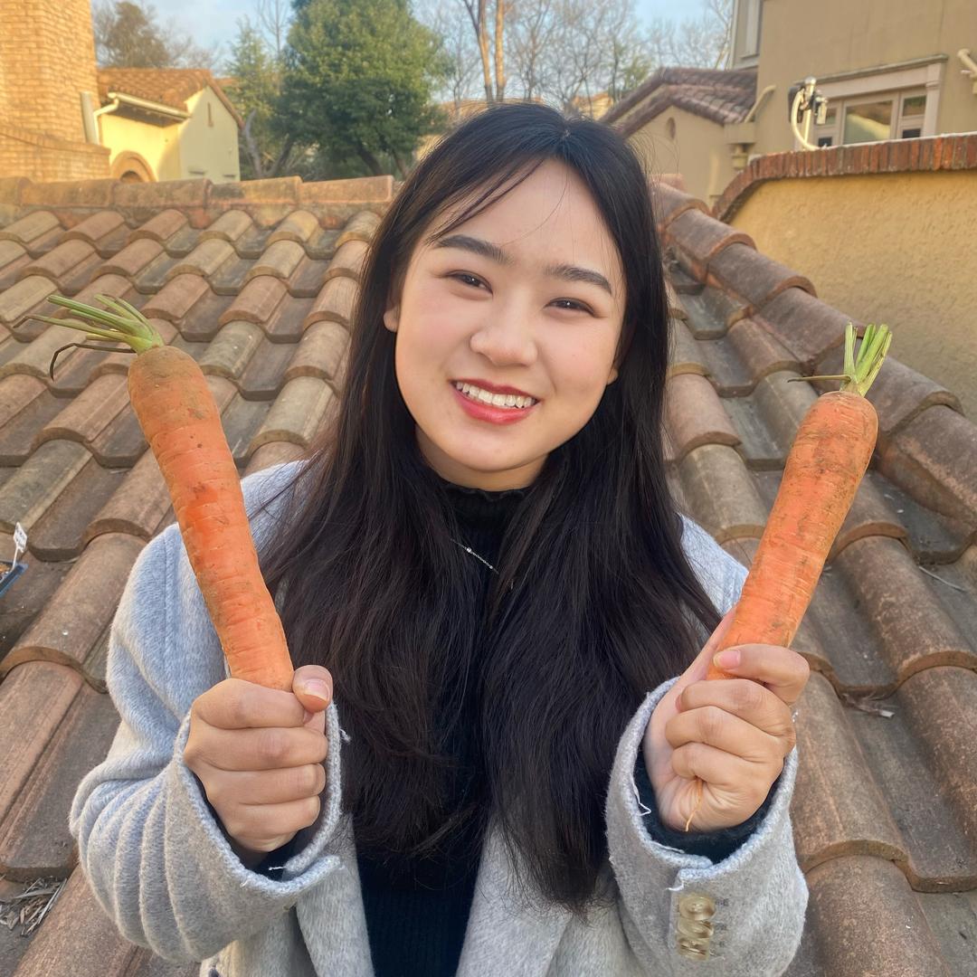 格格真不菜（种有机菜）