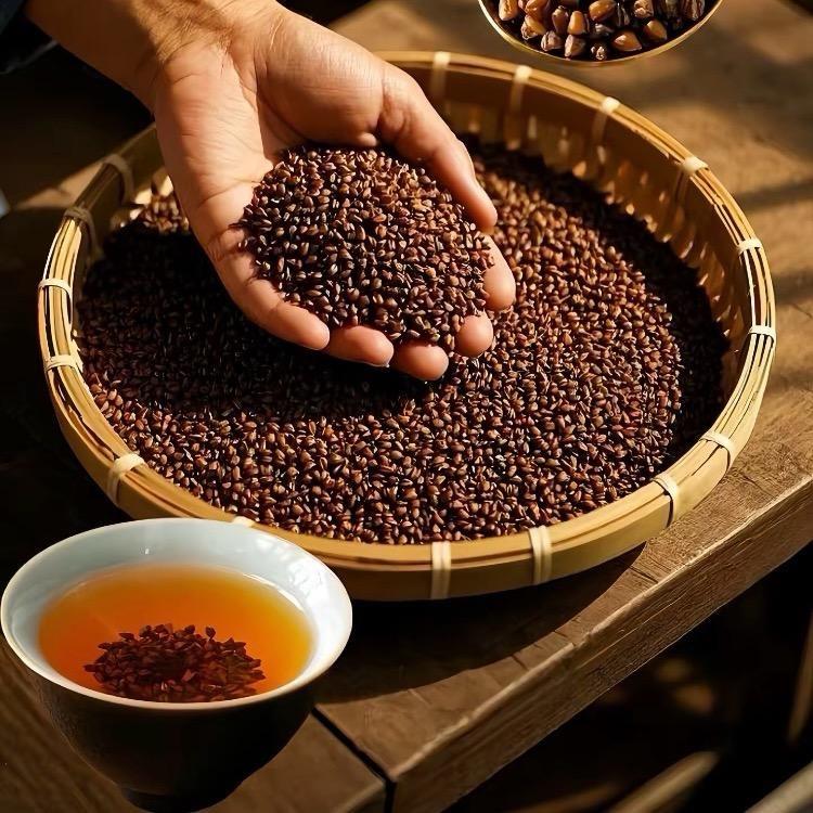 大凉山 苦荞茶原产地