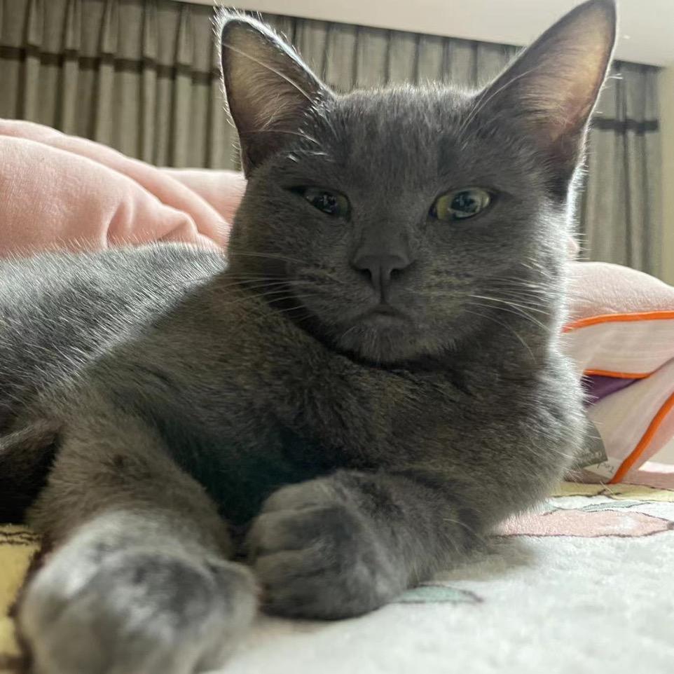 靓仔且帅气🫶🏿