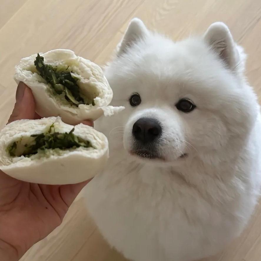 今天去看世界了吗