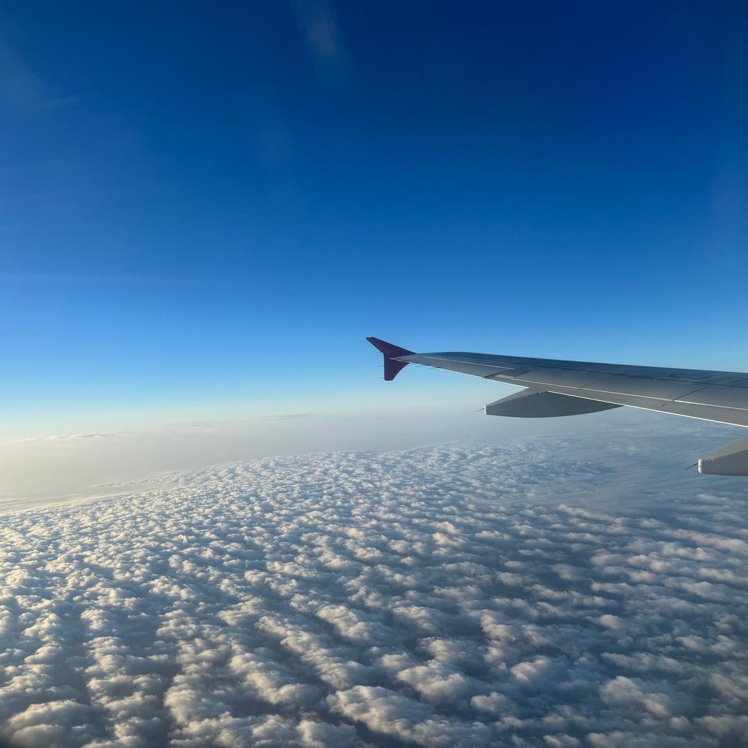 空谷幽兰