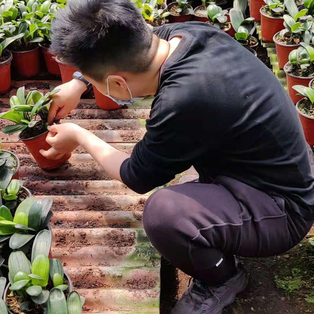 小毅