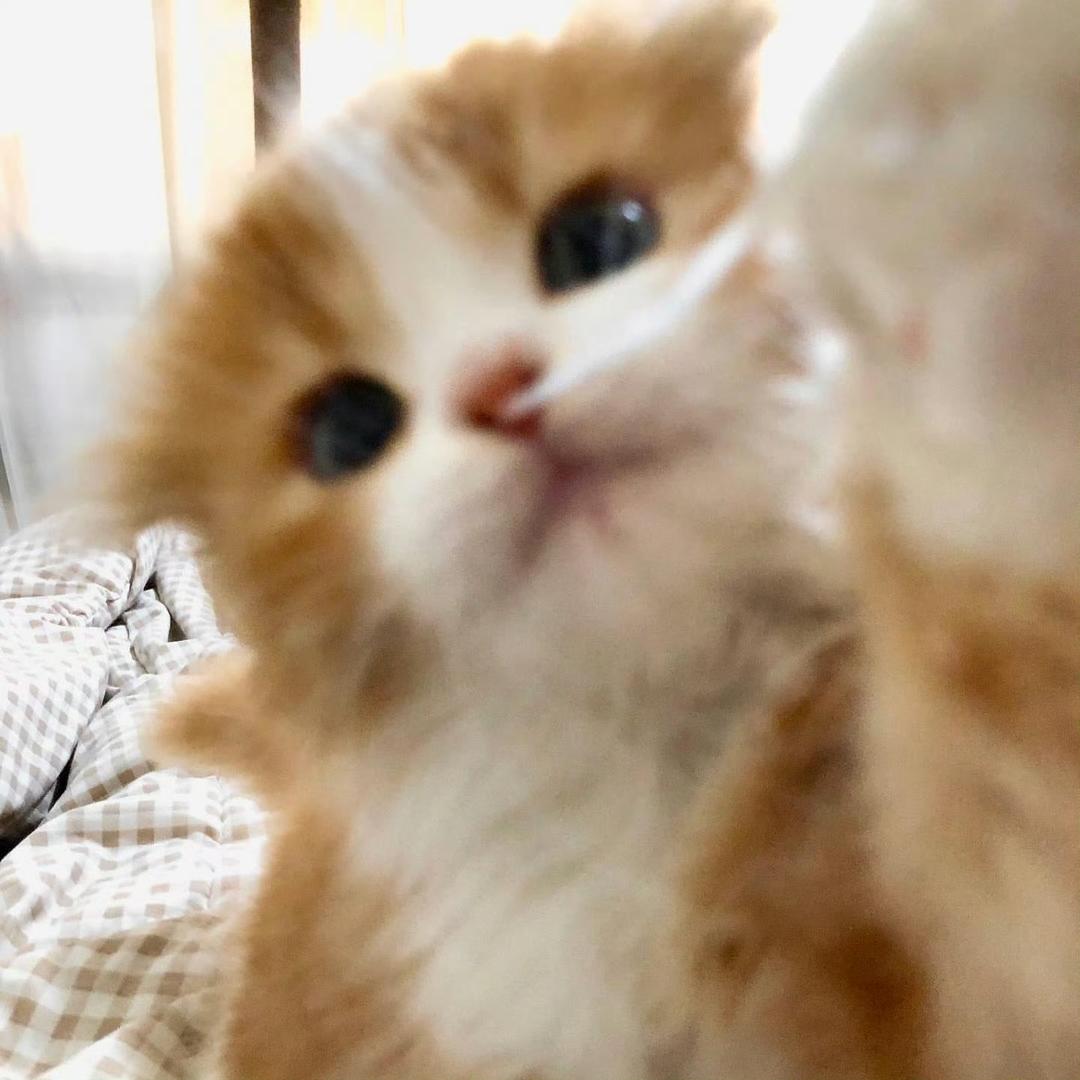 超级无敌棒的小Min