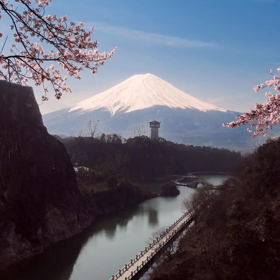 茶壶壶
